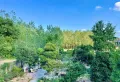 占地4亩 独栋别墅  前后大院子 1000多平31