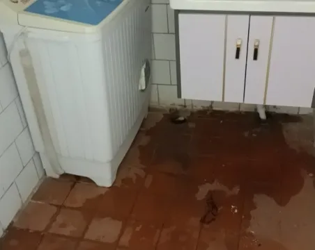 园丁新村3室1厅1卫普通