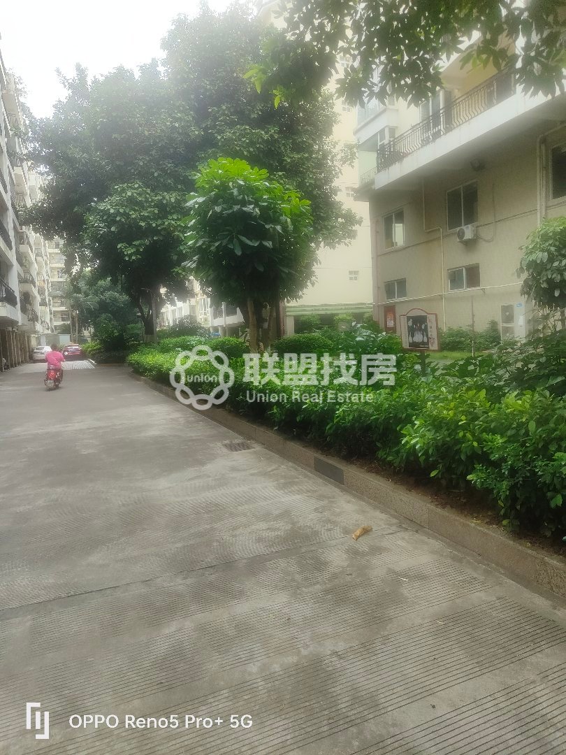 阳光都市,成熟小区，万达广场旁，拎包入住12