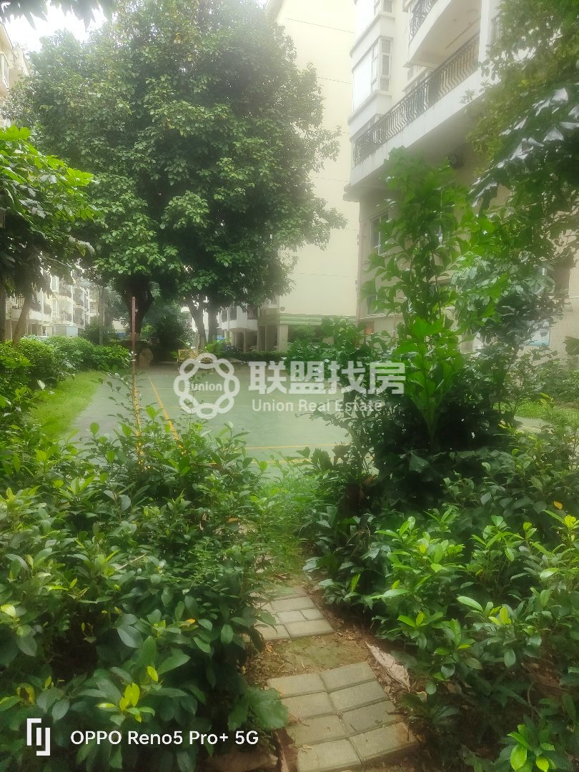 阳光都市,成熟小区，万达广场旁，拎包入住11