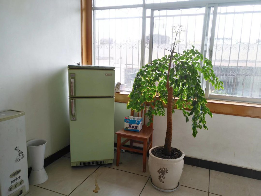 麒麟区城中普通3室1厅1卫二手房出售9