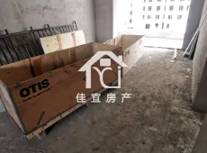 东明县|龙脉御府西区3室2厅2卫出售