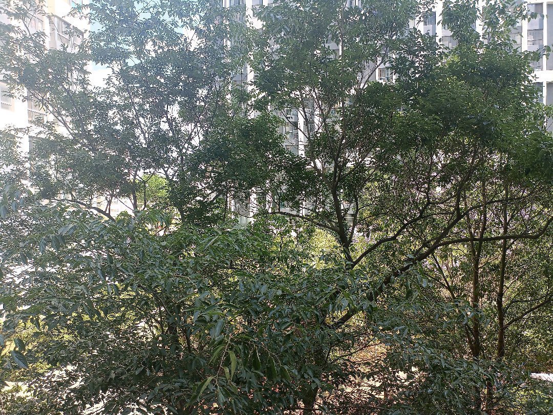 麒麟区南片区精装3室2厅2卫二手房出售16