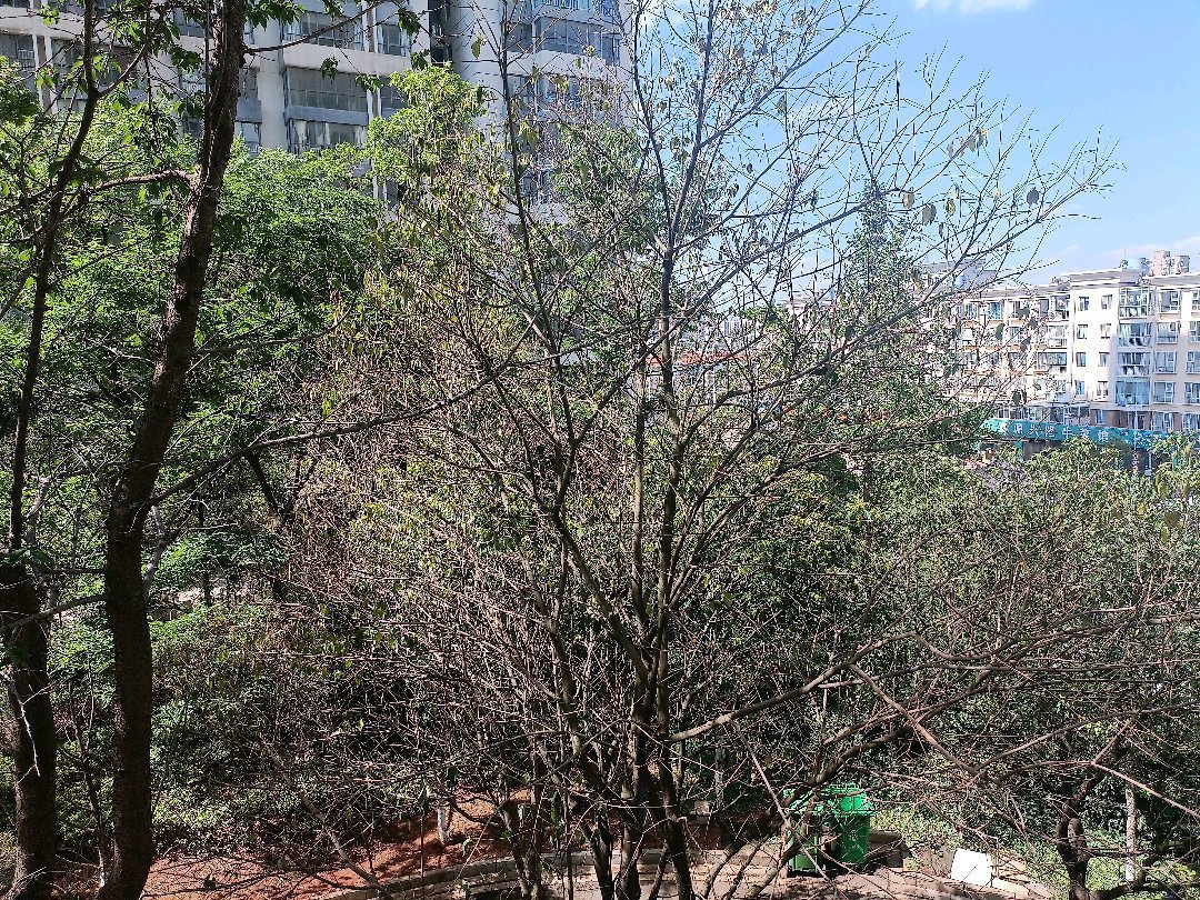 麒麟区南片区精装3室2厅2卫二手房出售15