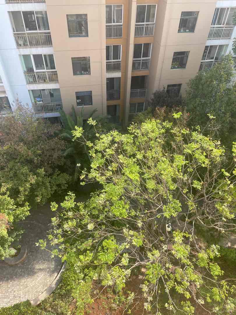 沾益县沾益毛坯5室2厅2卫二手房出售14