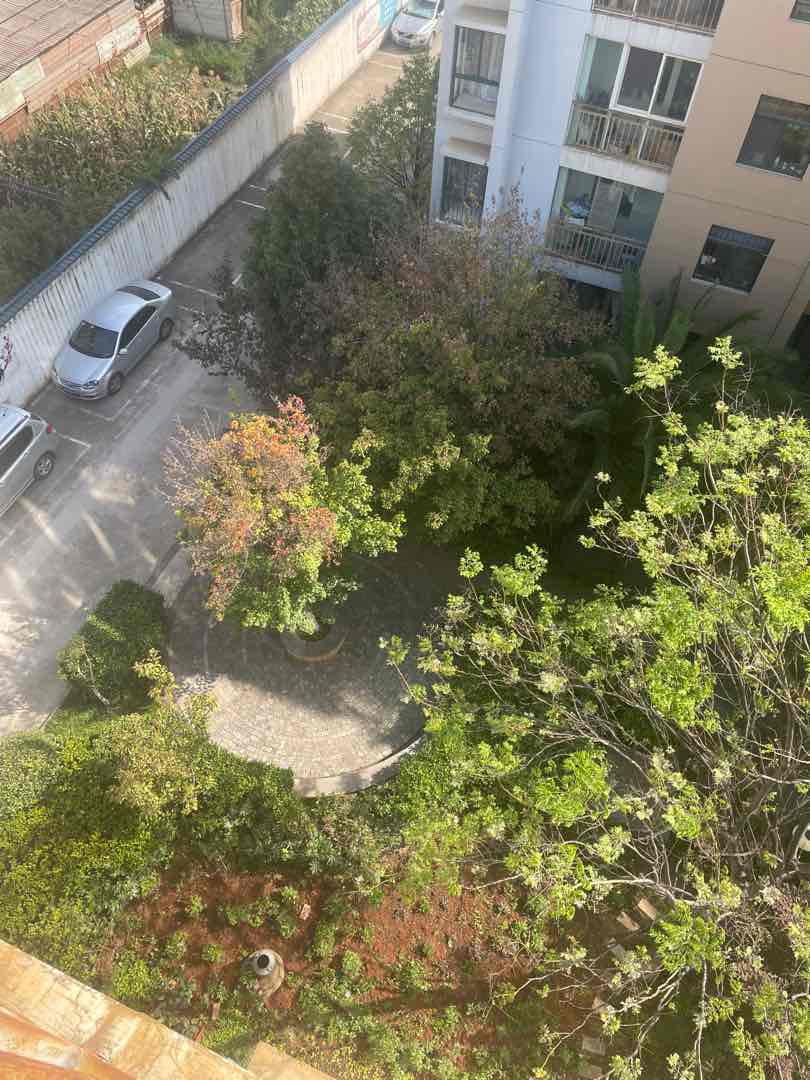 沾益县沾益毛坯5室2厅2卫二手房出售16