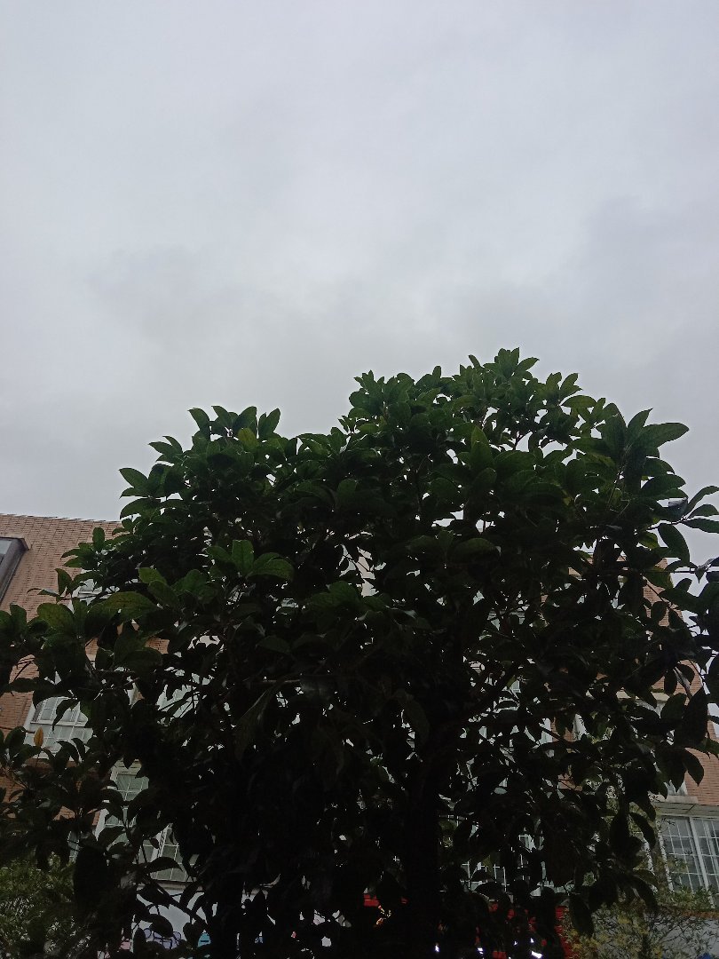 麒麟区北片区普通3室2厅1卫二手房出售12