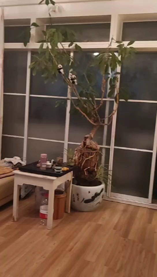 麒麟区北片区精装3室2厅2卫二手房出售1
