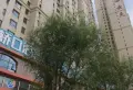 难得一见的萨尔斯堡精装小户型 总价低，朝向好！6