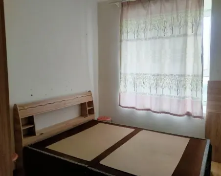 君悦海棠C区1室1厅1卫普通