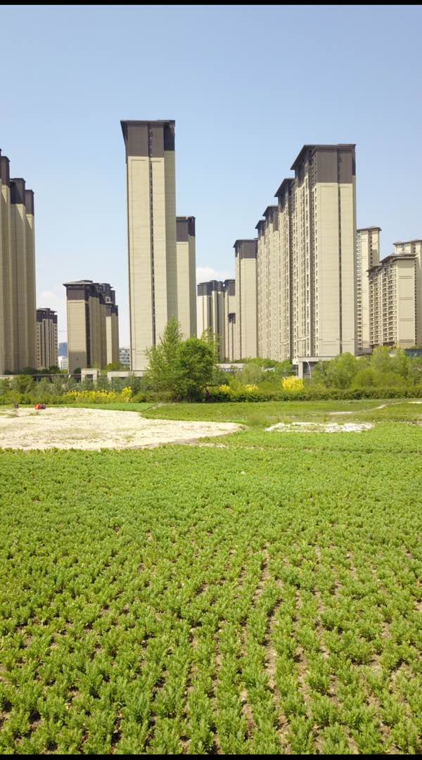 朝阳地质小区,朝阳地质小区多层低公摊11