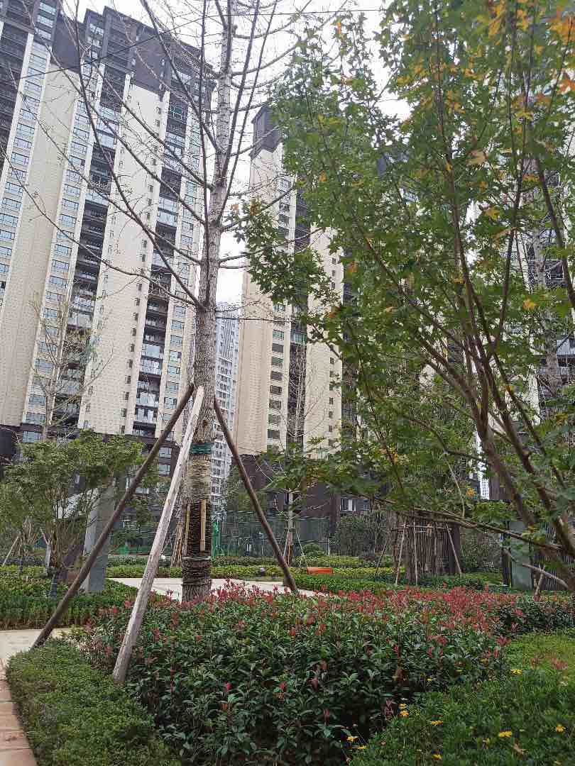 麒麟区南片区毛坯3室2厅2卫二手房出售14