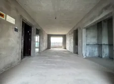 江安县|淯江大院3室2厅2卫出售