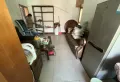 房子装修的巴适得很，视野巴适，7