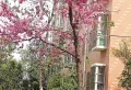 丽水金都93.21㎡3室2厅2卫2阳台毛坯南北好房出售21