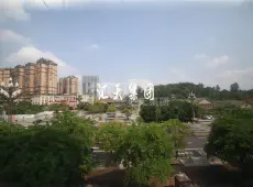 东兴区|艾林丰泽园二三号地4室2厅2卫出售