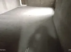 湛河区|凤凰佳苑3室2厅2卫出售