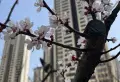 万科时代都会小区图片2
