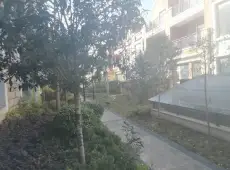 独山县|剑桥皇家9室3厅3卫出售