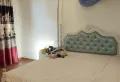 坐北向南四联排双拼别墅出售10