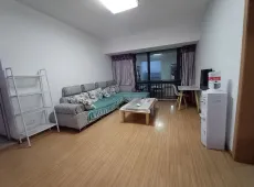 高新区|东方国际2室2厅1卫出租
