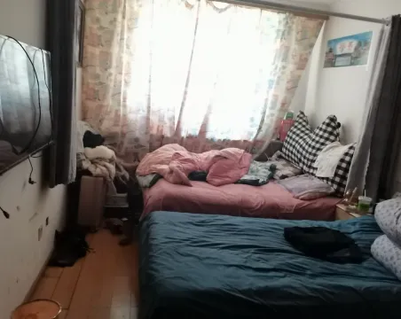梨园小区2室2厅1卫朝南北普通