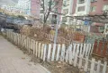 南地转山新家园一楼房主多套房子小华联超市对面有菜地有葡萄架10