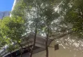 小区环境优美，经典小户型楼层好售价低。10