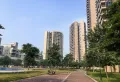 飞来湖1号，毛坯大三房，南北对流7