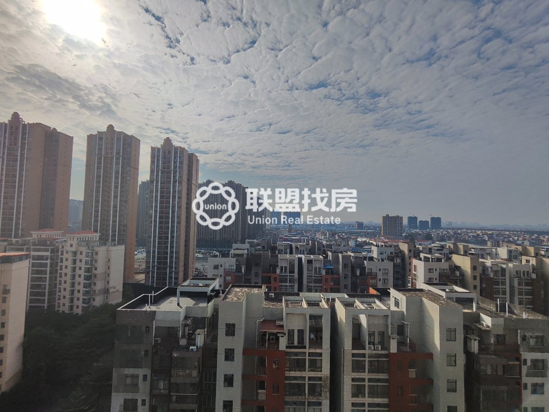 城市怡景,金港小学旁，城市怡景电梯朝南两房，价格美丽14