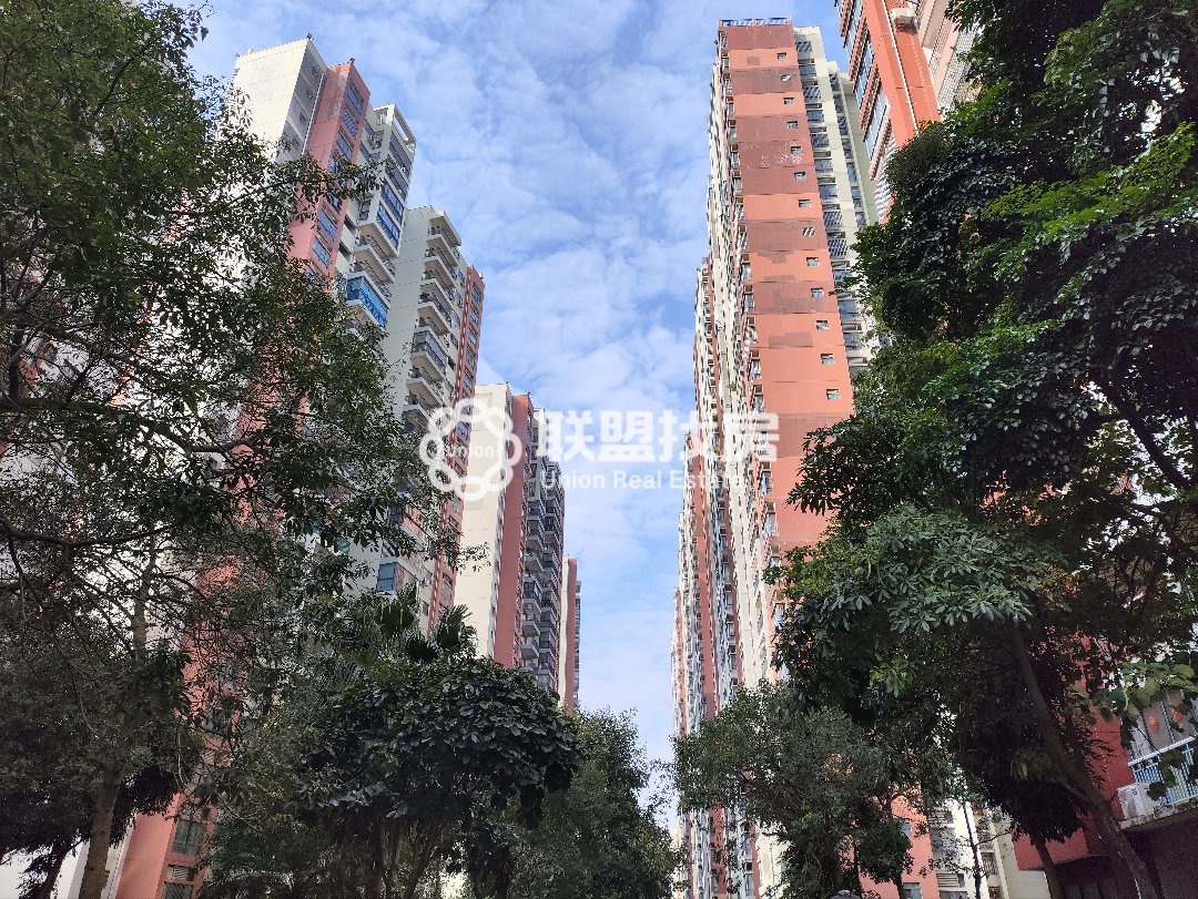 城市怡景,金港小学旁，城市怡景电梯朝南两房，价格美丽16