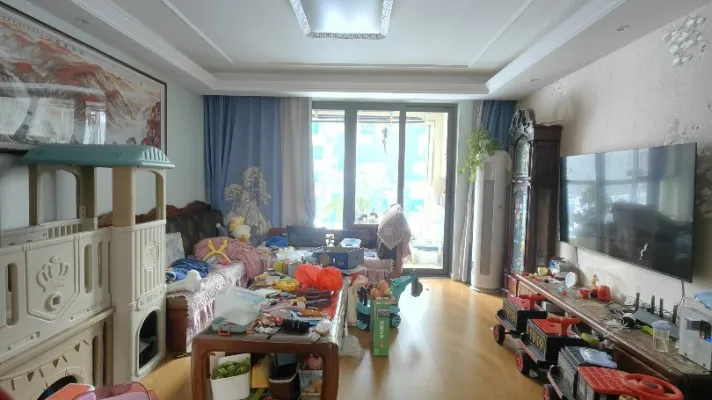 万科城市之光电梯洋房