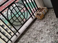 蕉城区|长兴城D区0室0厅0卫出售|买房租房佣金全返
