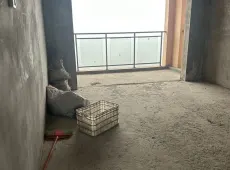 长宁县|湖岸雅居5室2厅3卫出售