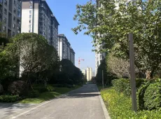 鹤城区|公园央著4室2厅2卫出售