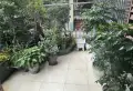 郭姐姐的房子，自己住起的，有准客户再带。小琳侯林共有8