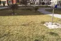让你无可挑剔的兰亭雅居，交通便利便宜甩卖11