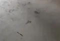 当北城云璟3室2厅2卫1阳台的出现，是又一次美丽而响亮的音符16