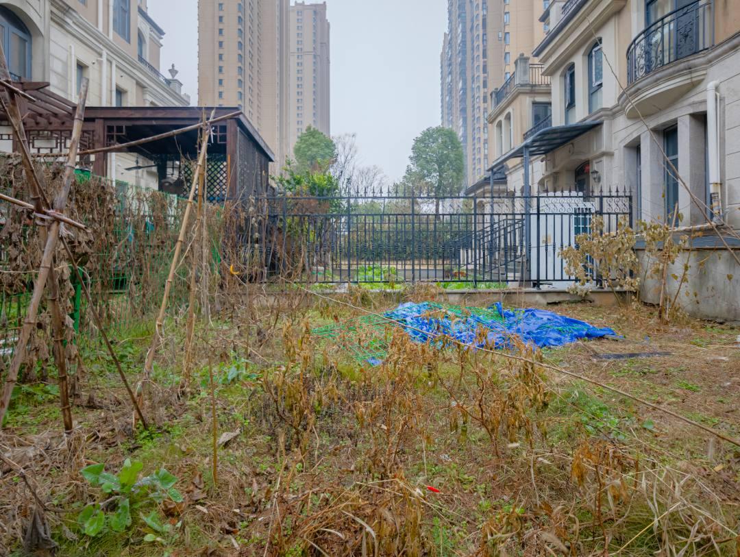 中建汤逊湖壹号,中建汤逊湖壹号别墅出租。简单装修 可办公25