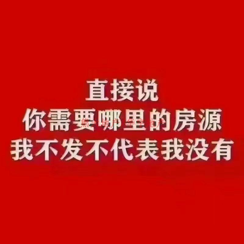 麒龙城市广场,麒龙城市广场单身公寓毛坯出售底价11.8万3