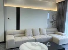 射洪县|河东滨江河畔3室2厅2卫出售
