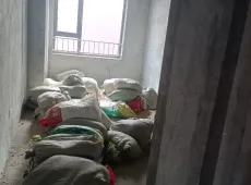 成武县|伯爵华府4室2厅2卫出售