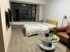 龙湖区|壹品湾三区1室1厅1卫出租