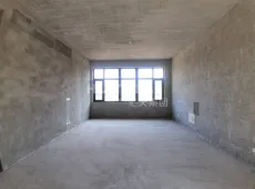 东兴区|邦泰颐和上院5室3厅5卫出售