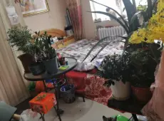 莲池区|邮电宿舍五一九1室1厅1卫出售