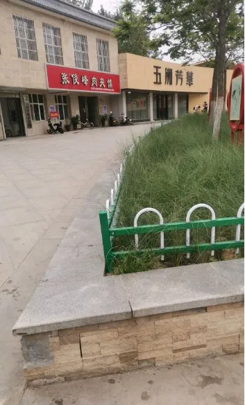 五洲芳华楼盘图片2