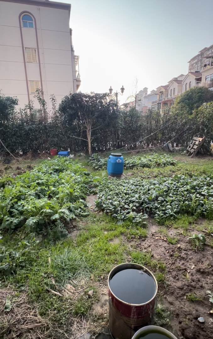 碧桂园山水云间,碧桂园多层洋房一楼带超大院子 小区中间位置，居住舒适  边户10