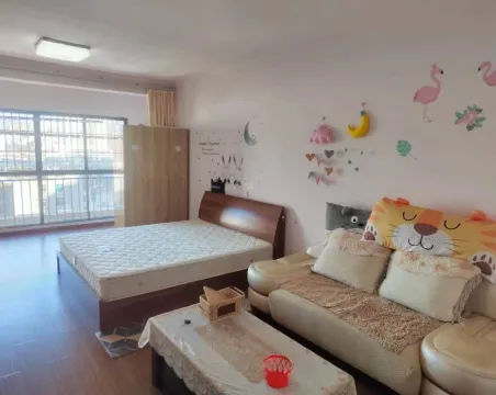 伟业广场1室1厅1卫朝南北精装