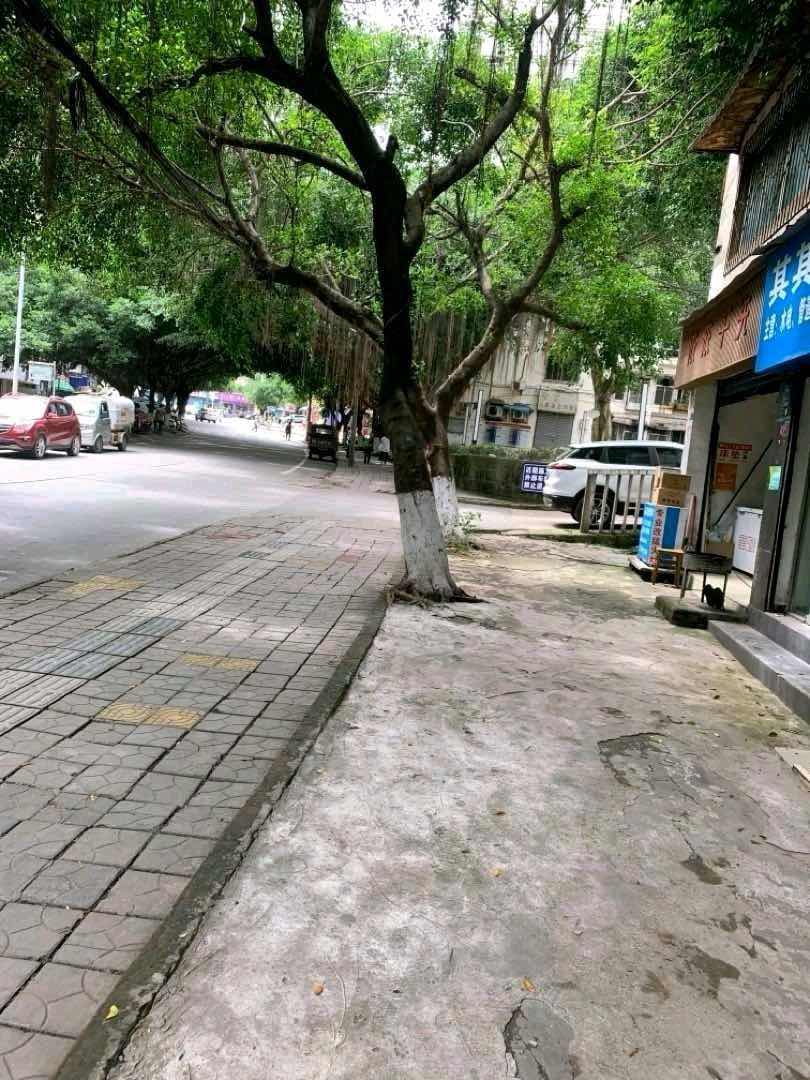 青杠林社区,青杠林小学旁，南北通透四室带双阳台，诚心出售13