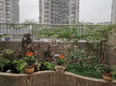 市中区|江城花园三期3室2厅2卫出售